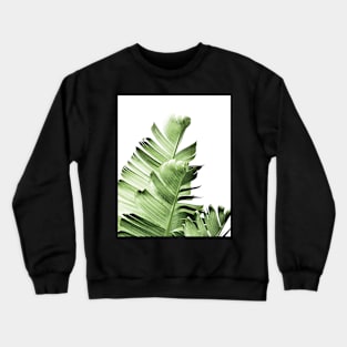 Banana leaves,Tropical leaves, Green leaves, Leaf, Modern art, Wall art, Print, Minimalistic, Modern, Scandinavian print Crewneck Sweatshirt